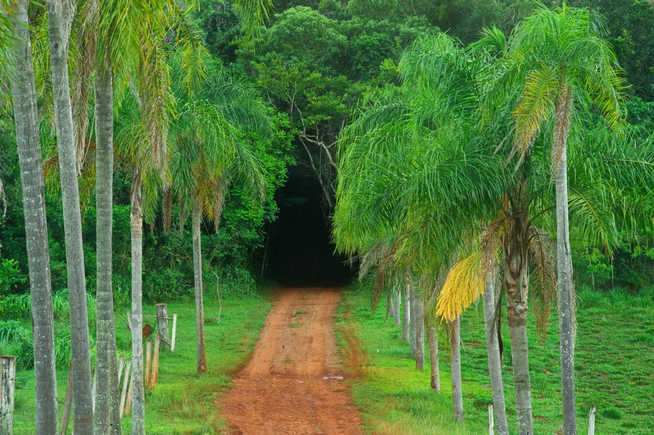 La Mision Mocona - Lodge De Selva Saltos del Moconá Εξωτερικό φωτογραφία