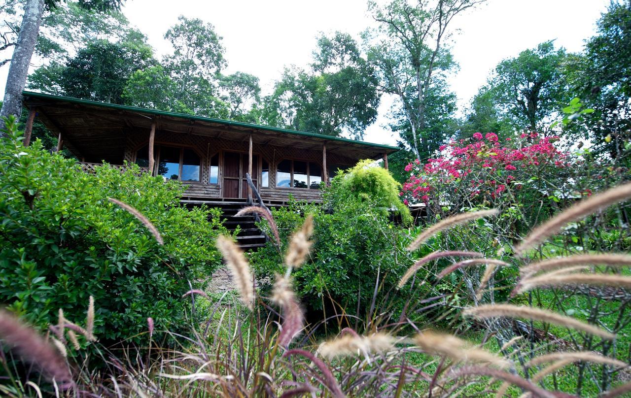 La Mision Mocona - Lodge De Selva Saltos del Moconá Δωμάτιο φωτογραφία