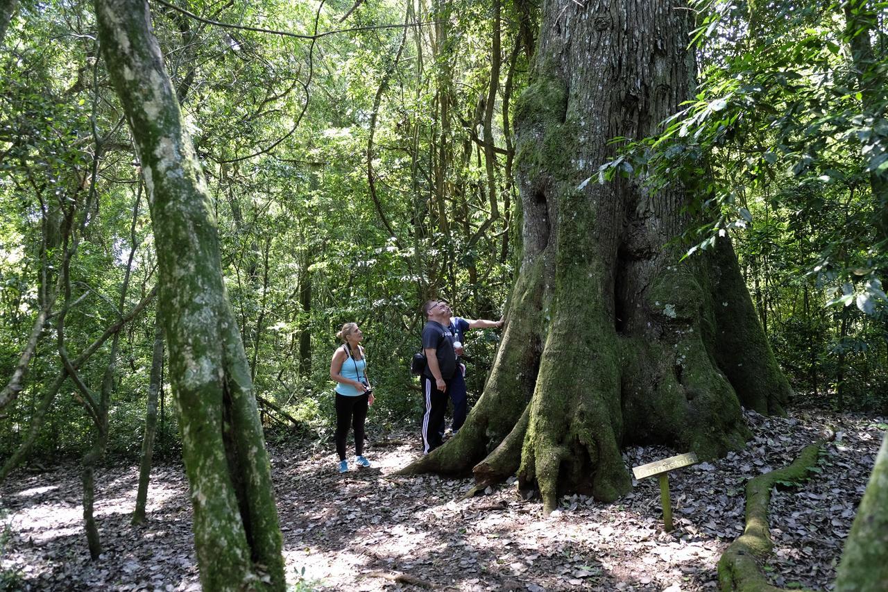 La Mision Mocona - Lodge De Selva Saltos del Moconá Εξωτερικό φωτογραφία