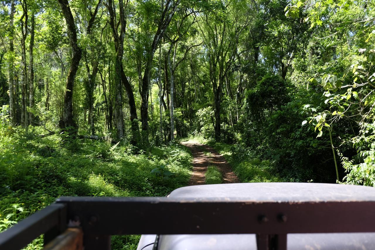 La Mision Mocona - Lodge De Selva Saltos del Moconá Εξωτερικό φωτογραφία