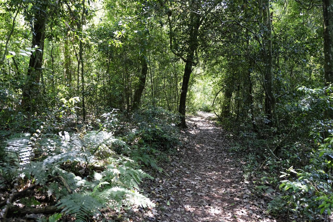 La Mision Mocona - Lodge De Selva Saltos del Moconá Εξωτερικό φωτογραφία